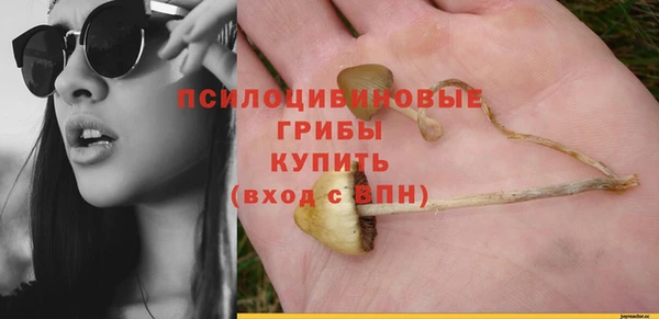 гидропоника Абдулино