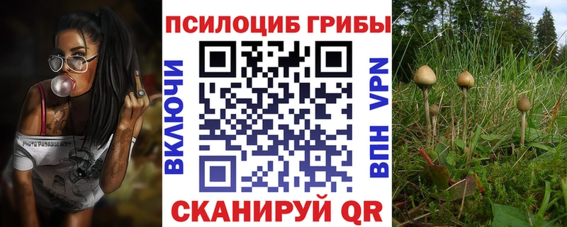 Псилоцибиновые грибы Magic Shrooms закладка Адыгейск